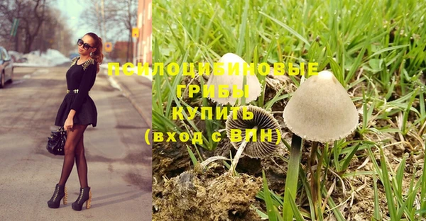 спайс Елабуга